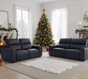 Gio Leather electric suite
